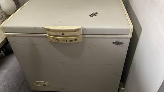 Waves Single Door Freezer