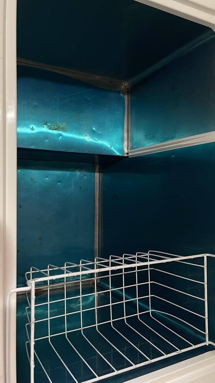 Waves Single Door Freezer 1
