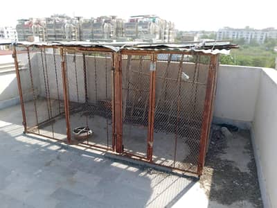 piegon cage for sale