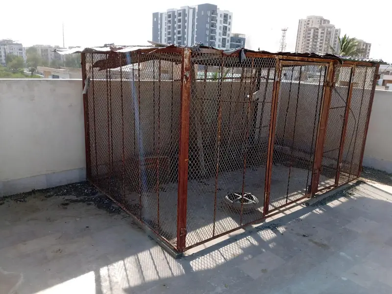 piegon cage for sale — photo 5