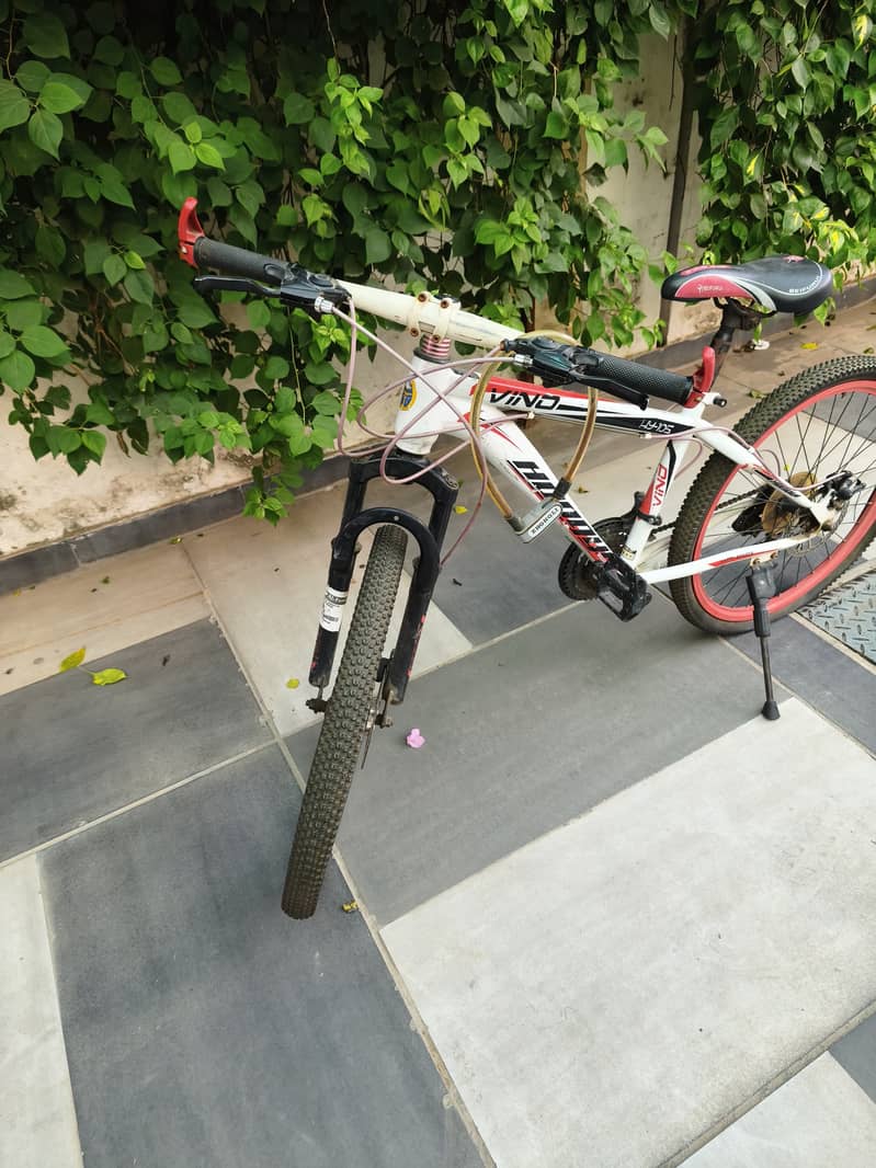 Bicycle 1