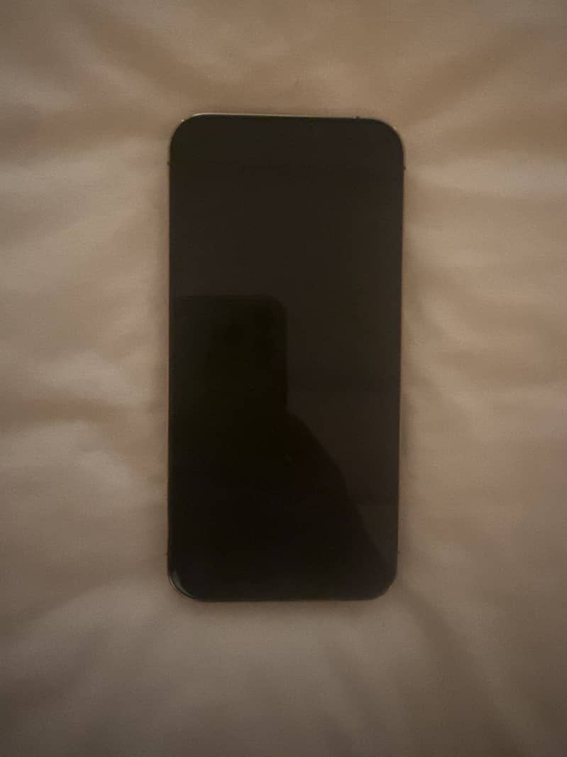 Apple iPhone 13 Pro Max 1