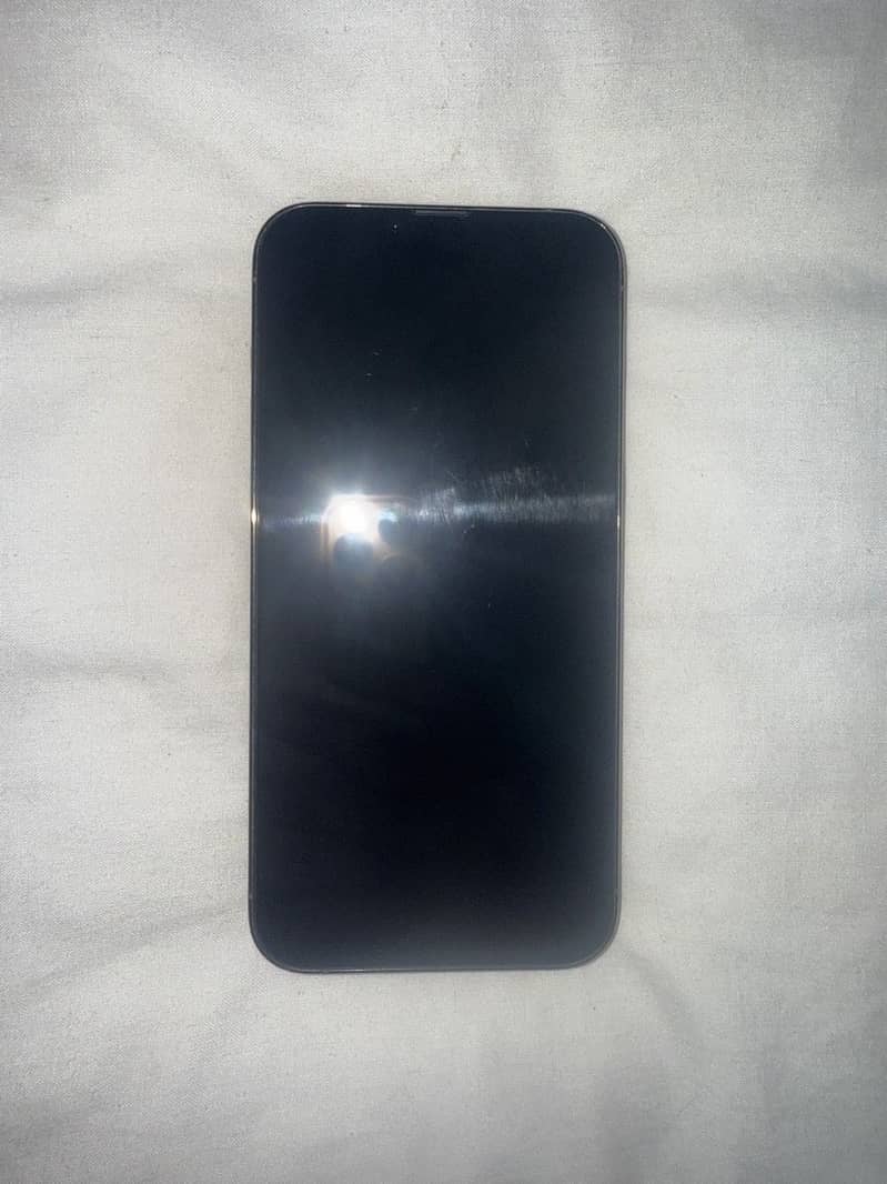 Apple iPhone 13 Pro Max 2