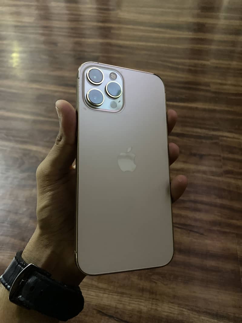 Apple iPhone 12 Pro Max 1