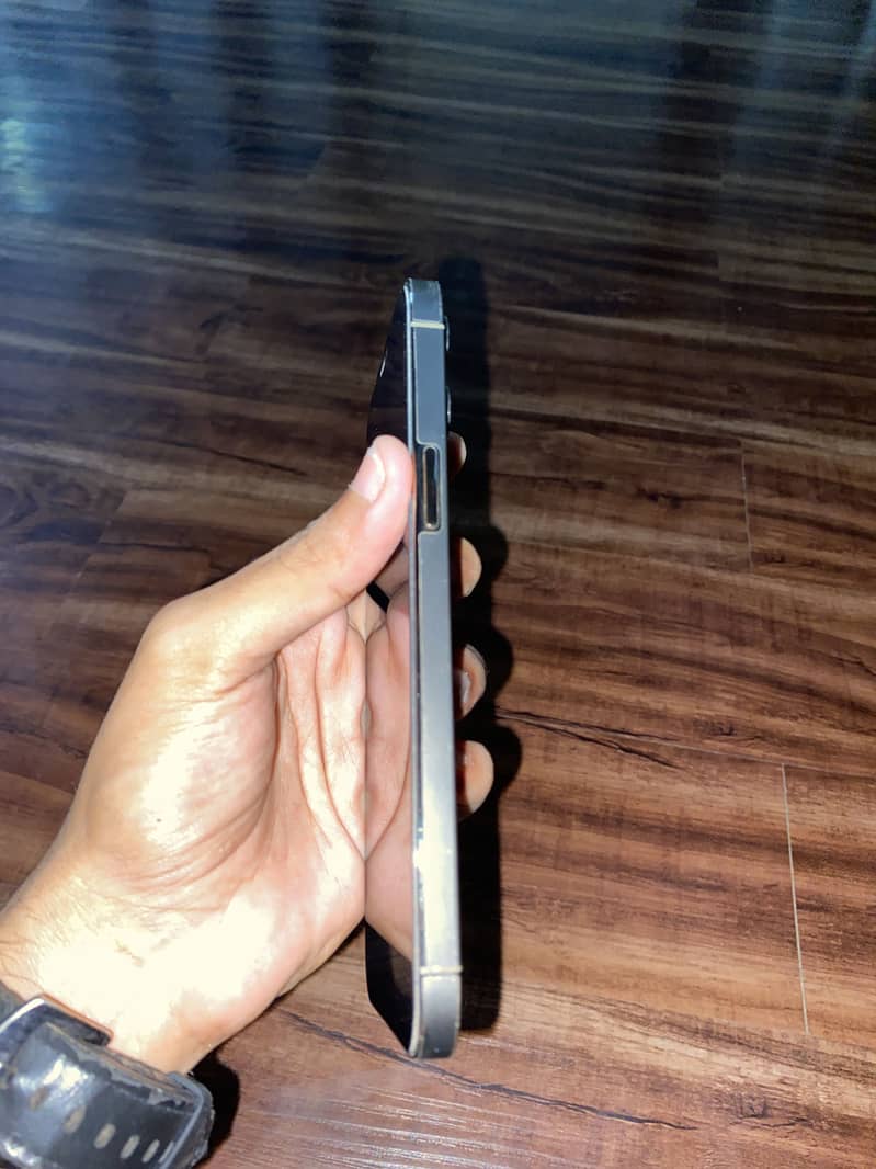 Apple iPhone 12 Pro Max 2