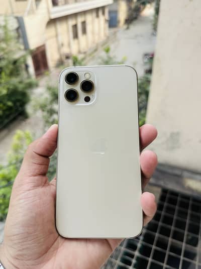 iPhone 12 Pro Max dual Pta