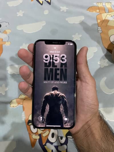 Apple iPhone 12 Pro