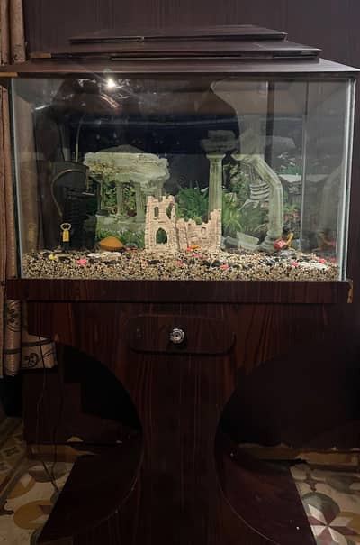 Fish Aquarium