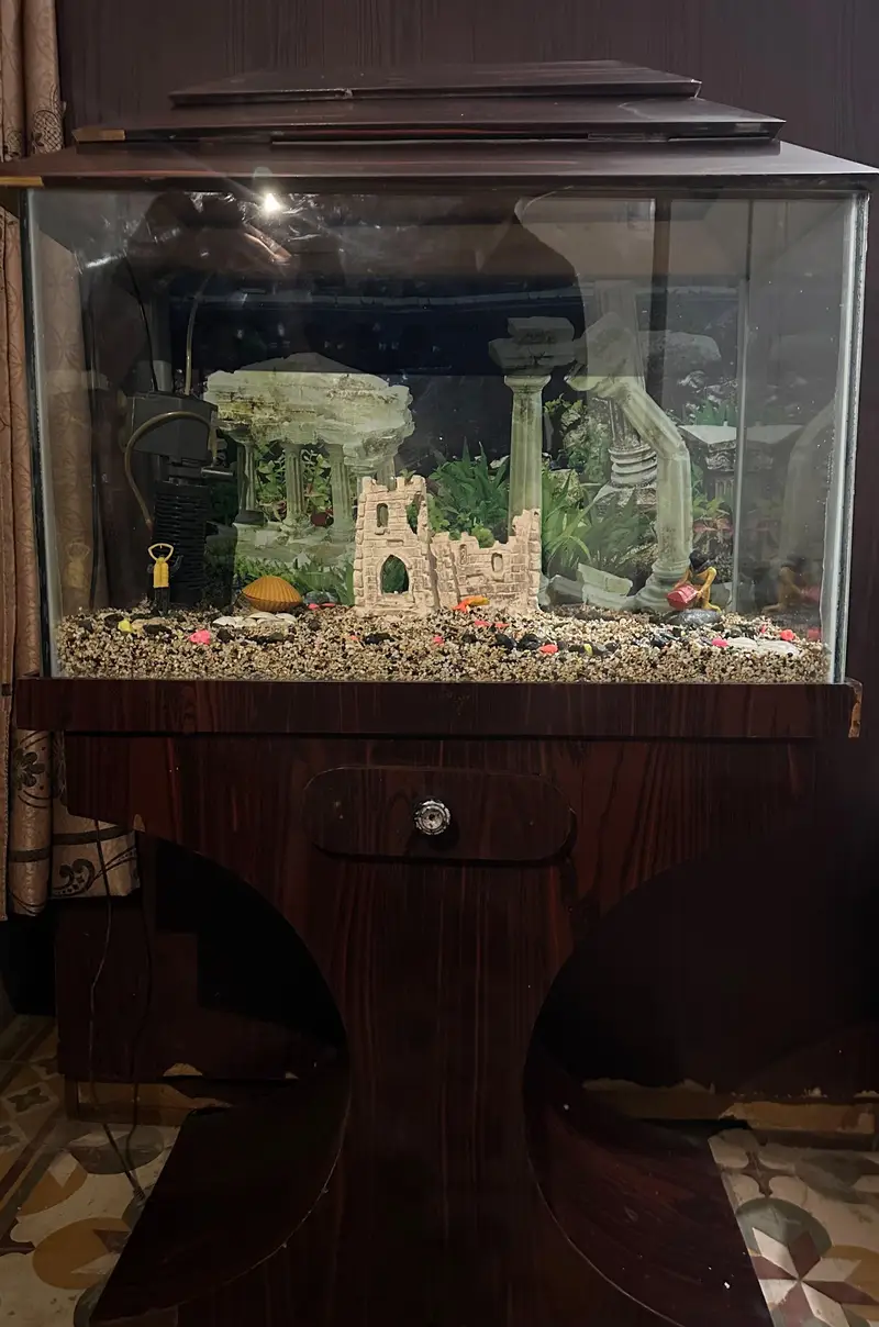 Fish Aquarium