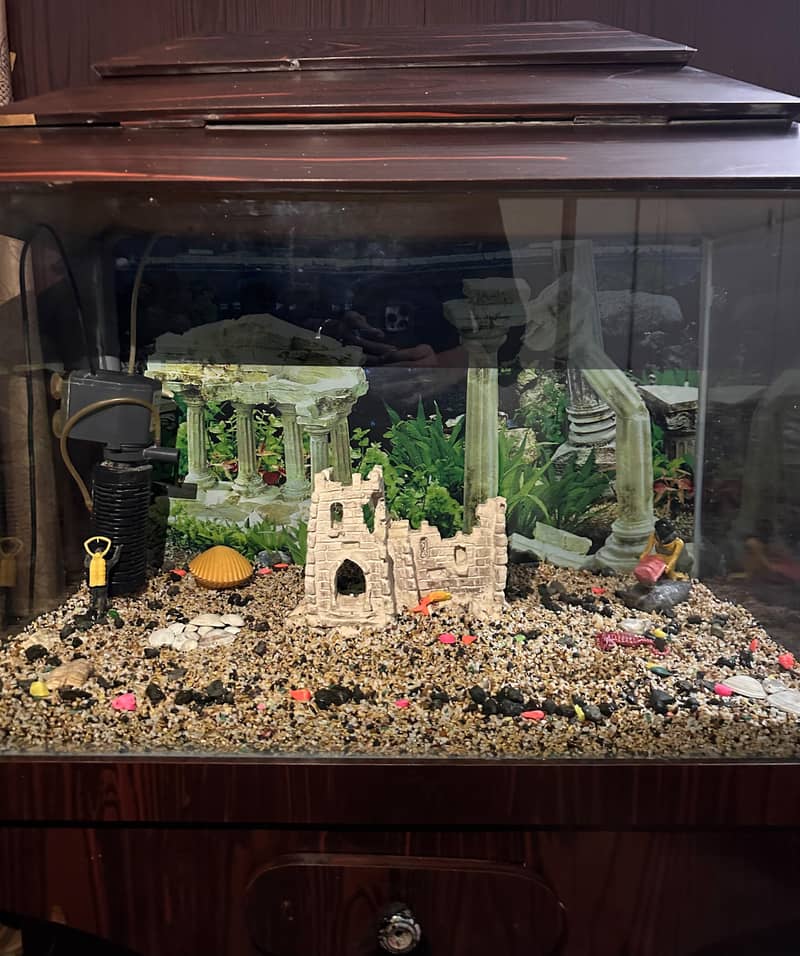 Fish Aquarium 1