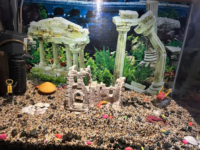 Fish Aquarium — photo 3