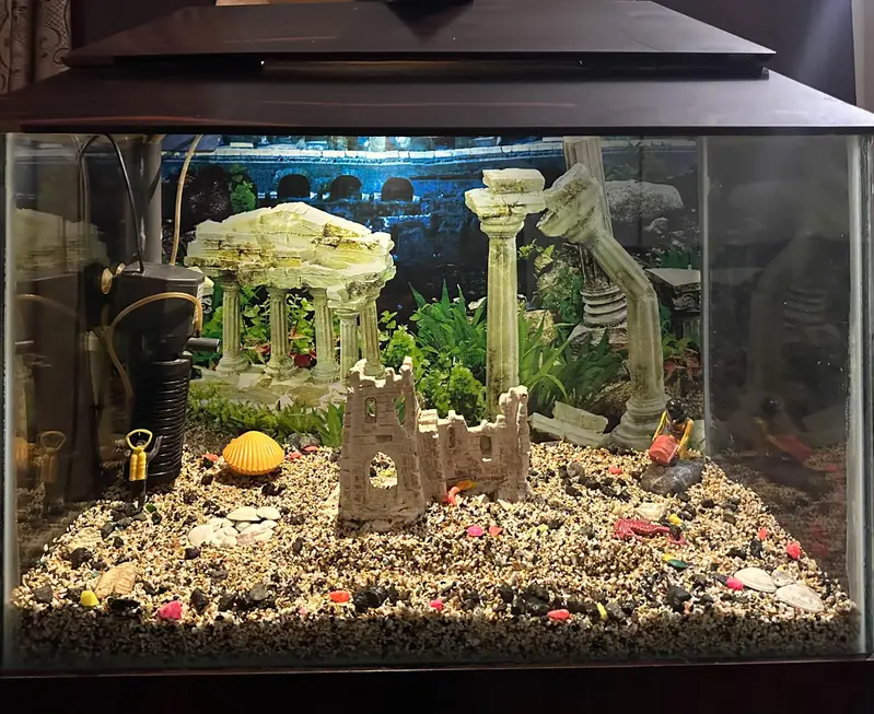 Fish Aquarium — photo 4
