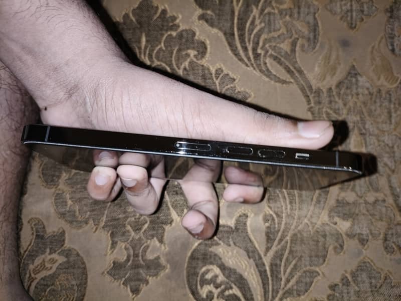 Apple iPhone 13 Pro Max 1