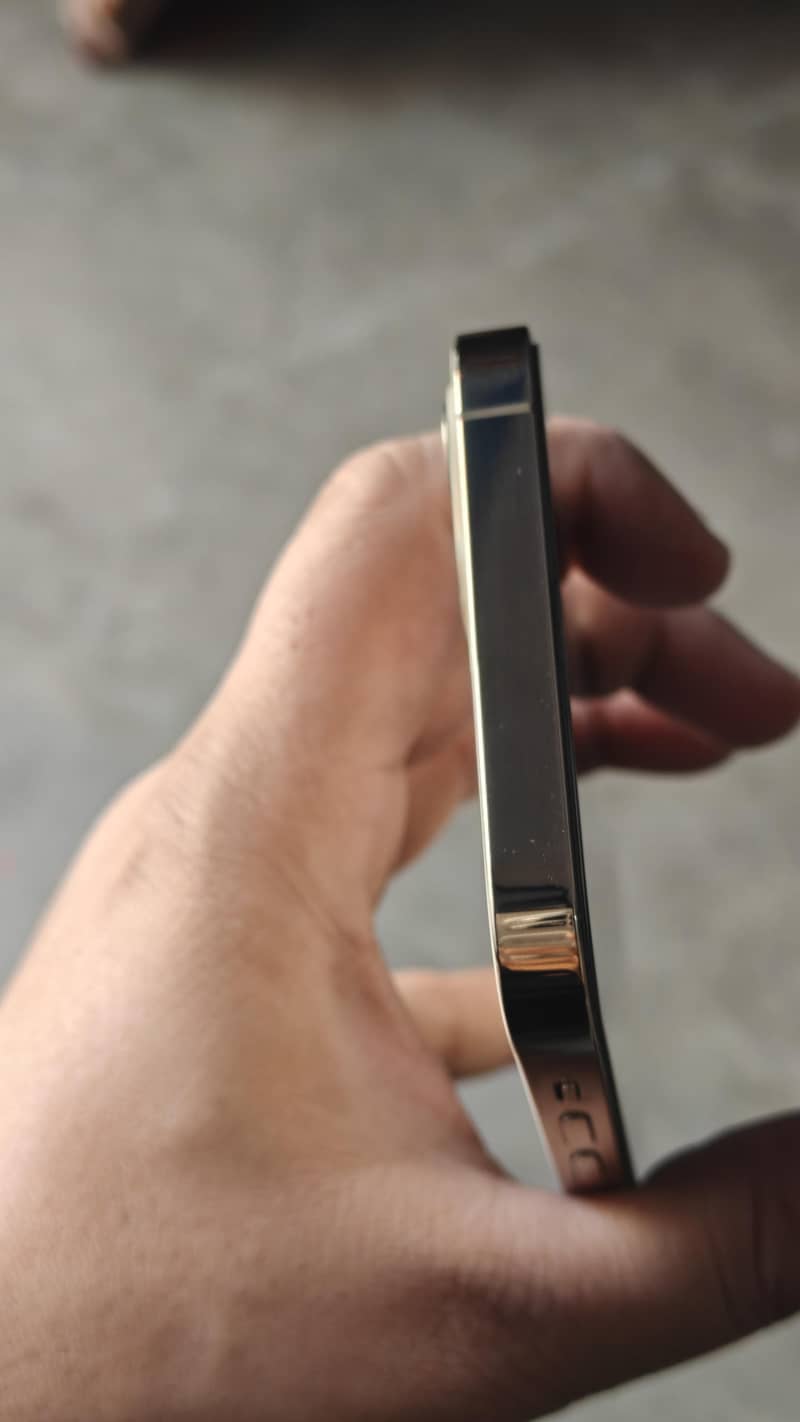 Apple iPhone 12 Pro 4
