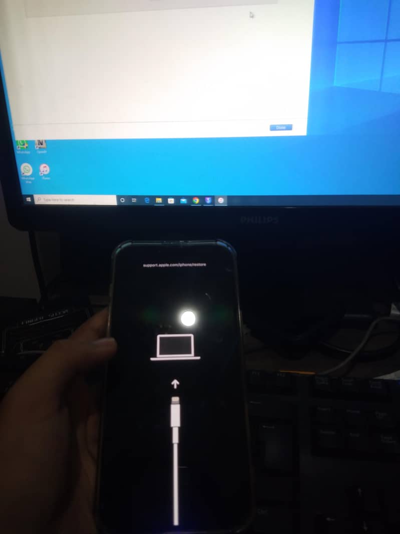 Apple iPhone 11 1