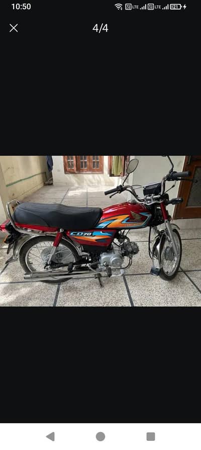 CD 70 Red