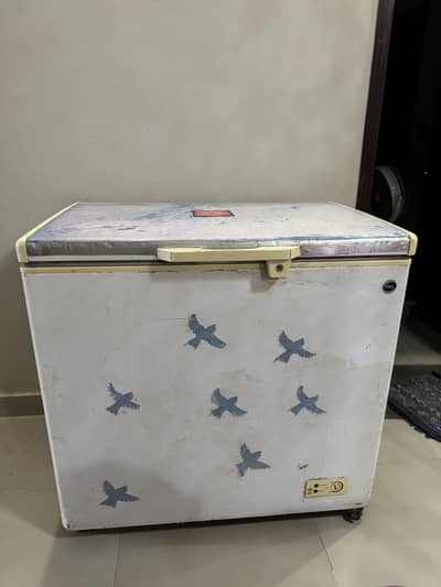 Pel Freezer for sale