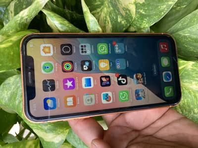 IPHONE XR…