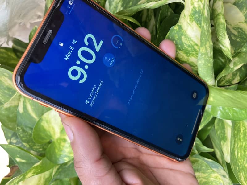 IPHONE XR… 1