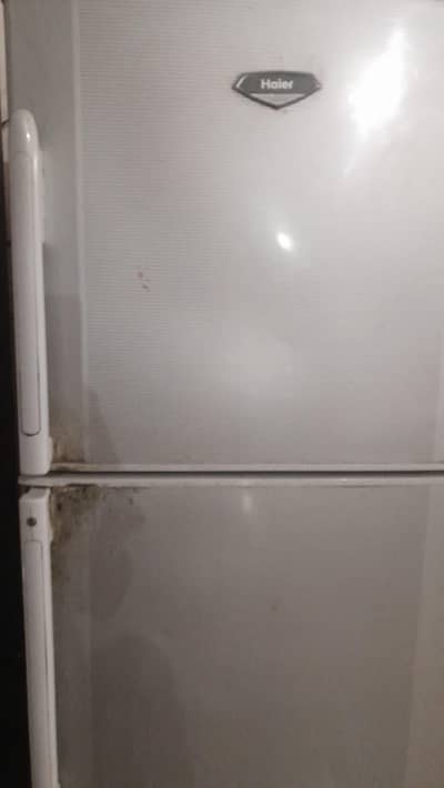 Two door refrigerator