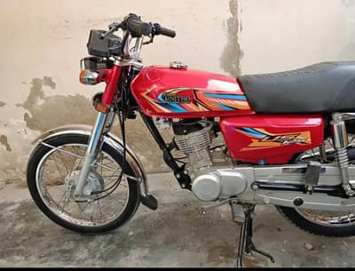 United 125 model 2026