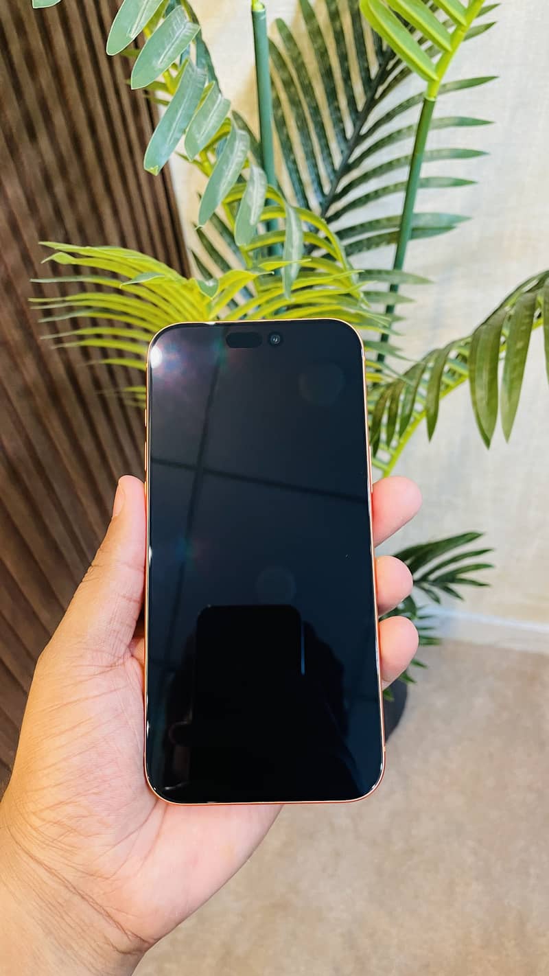 Apple iPhone 17 Pro Max 3