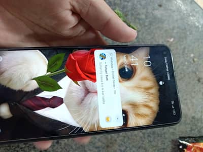 OPPO A53
