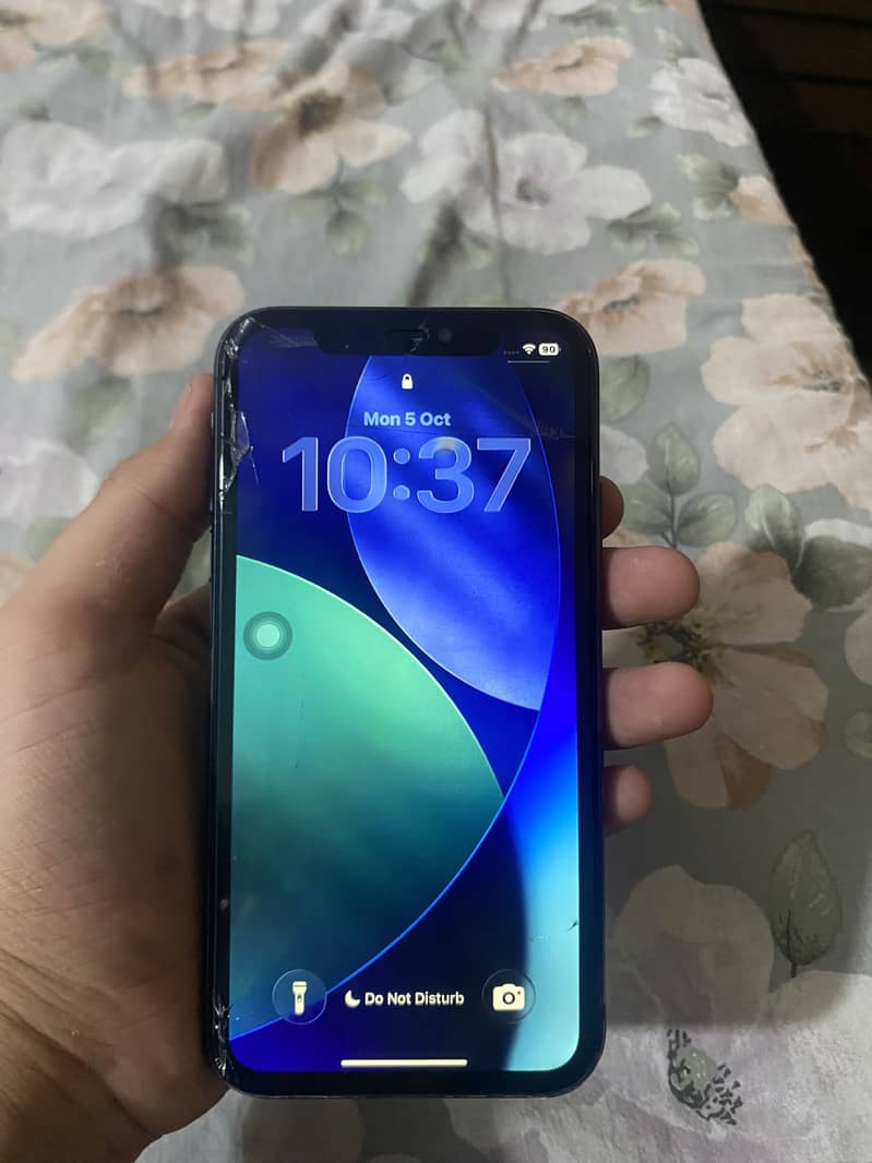 Apple iPhone 11 2