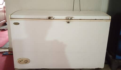 Jumbo Size Deep Freezer
