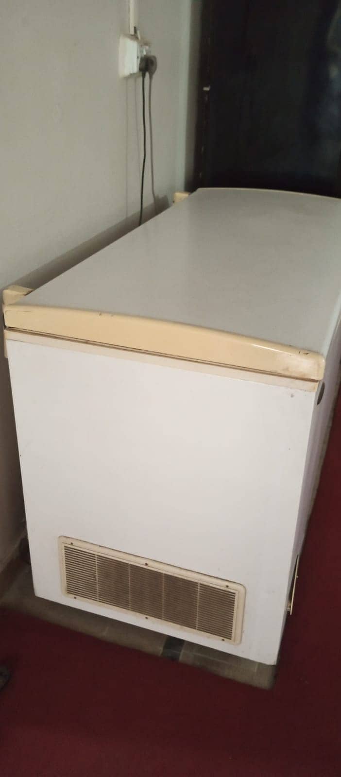 Jumbo Size Deep Freezer 1