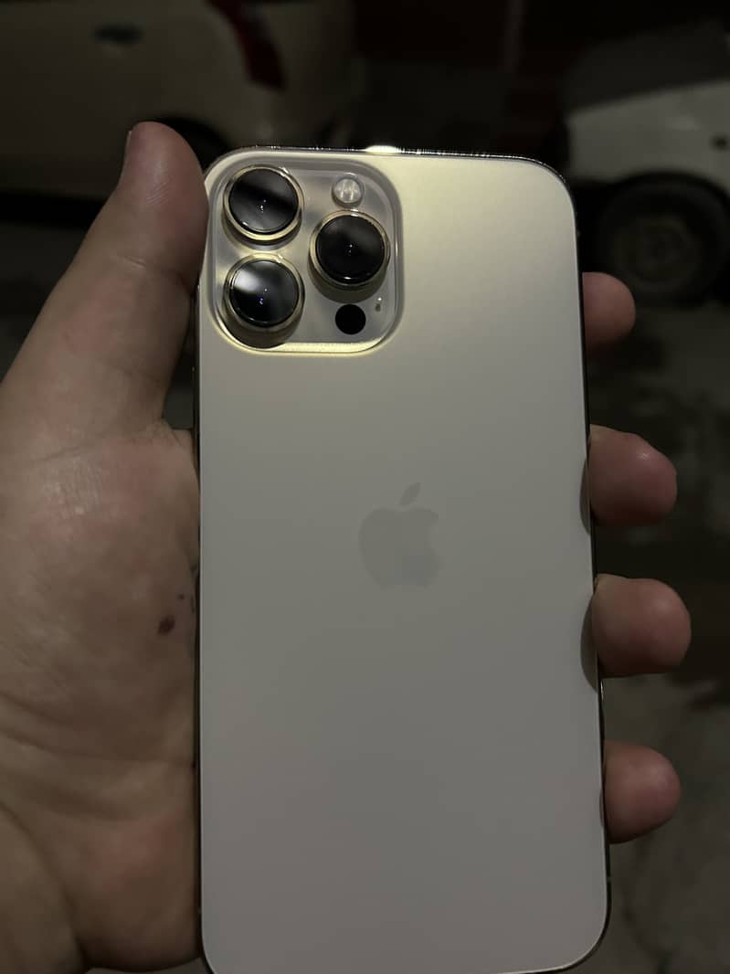 Apple iPhone 13 Pro Max 1