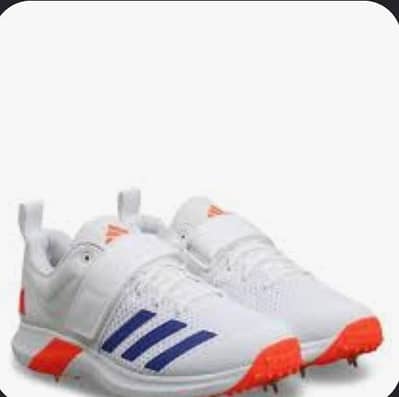 adidas sports shoes no 12