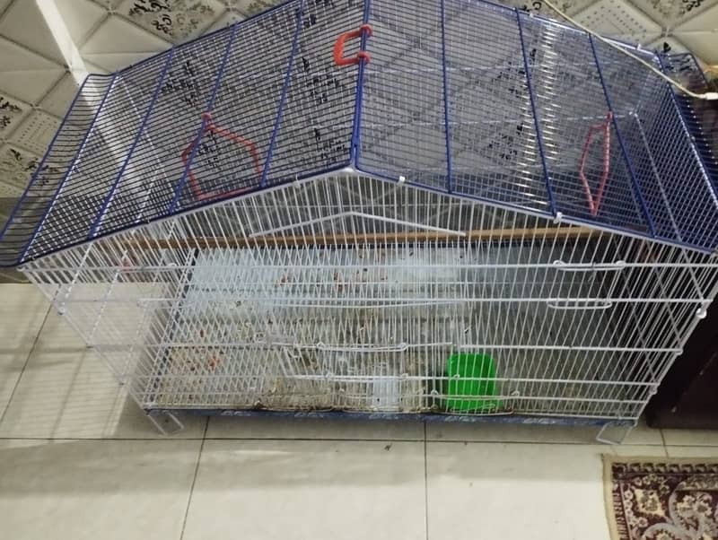 Birds cage 0
