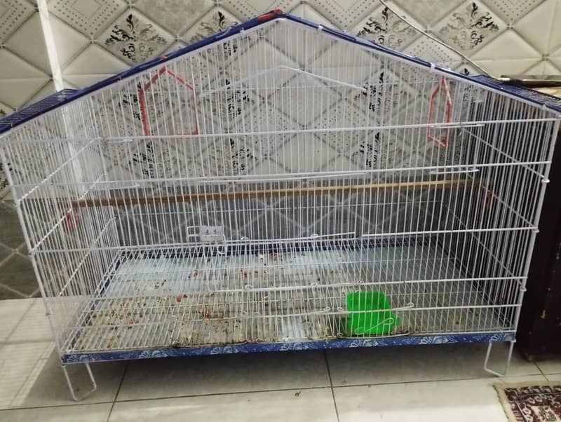 Birds cage 1