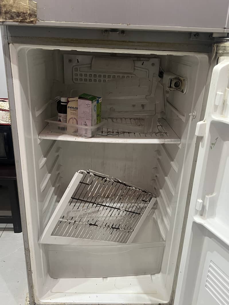 Pel Medium size regrigerator 4