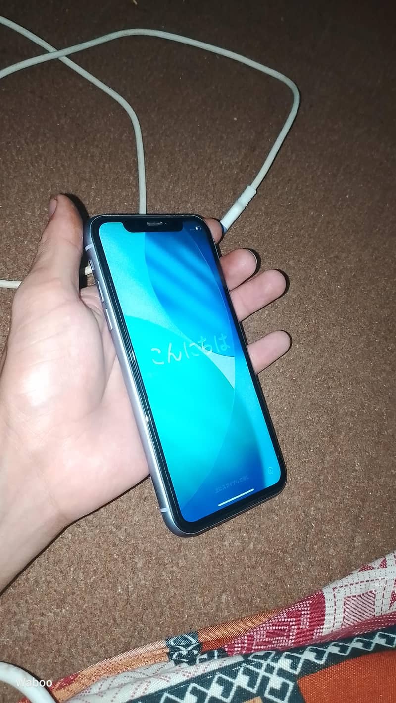 Apple iPhone 11 1