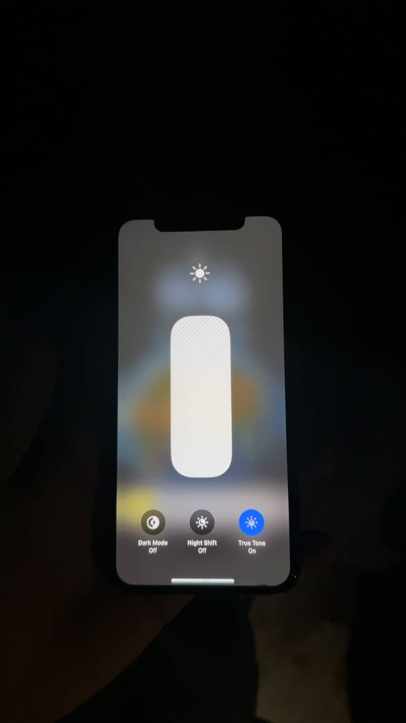 Apple iPhone XS 1