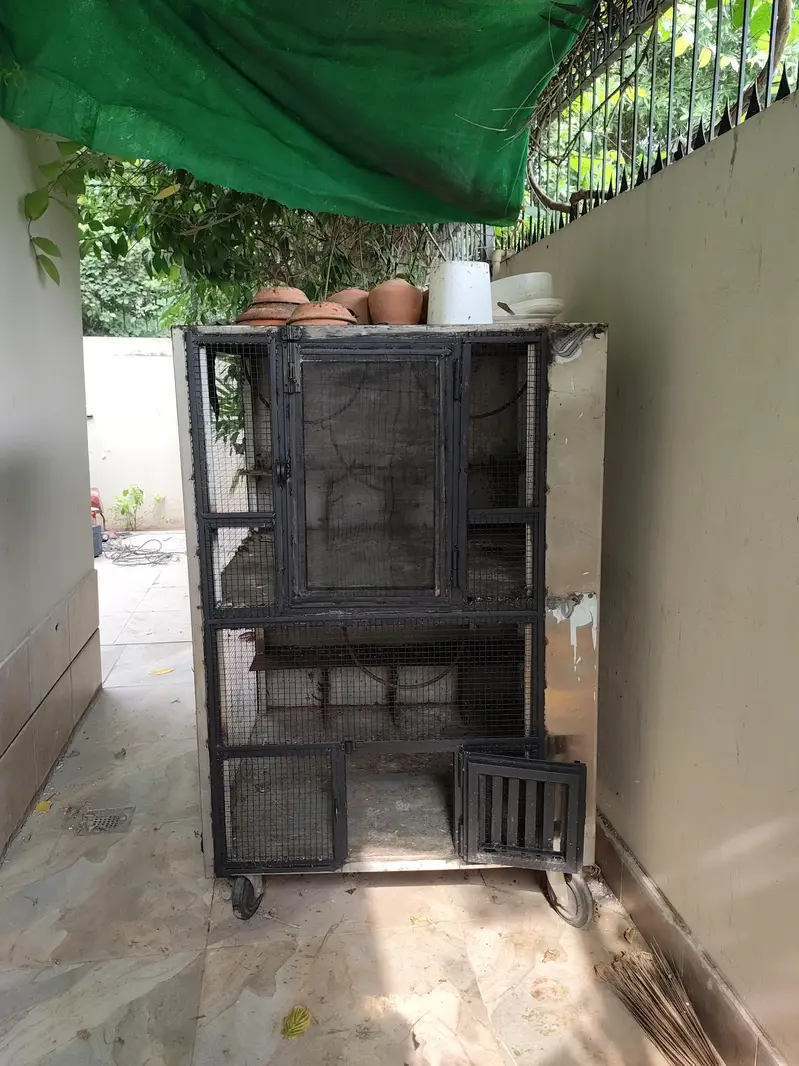 Large Multi-Level Bird Cage / Aviary on Wheels – Heavy Duty Metal — photo 2