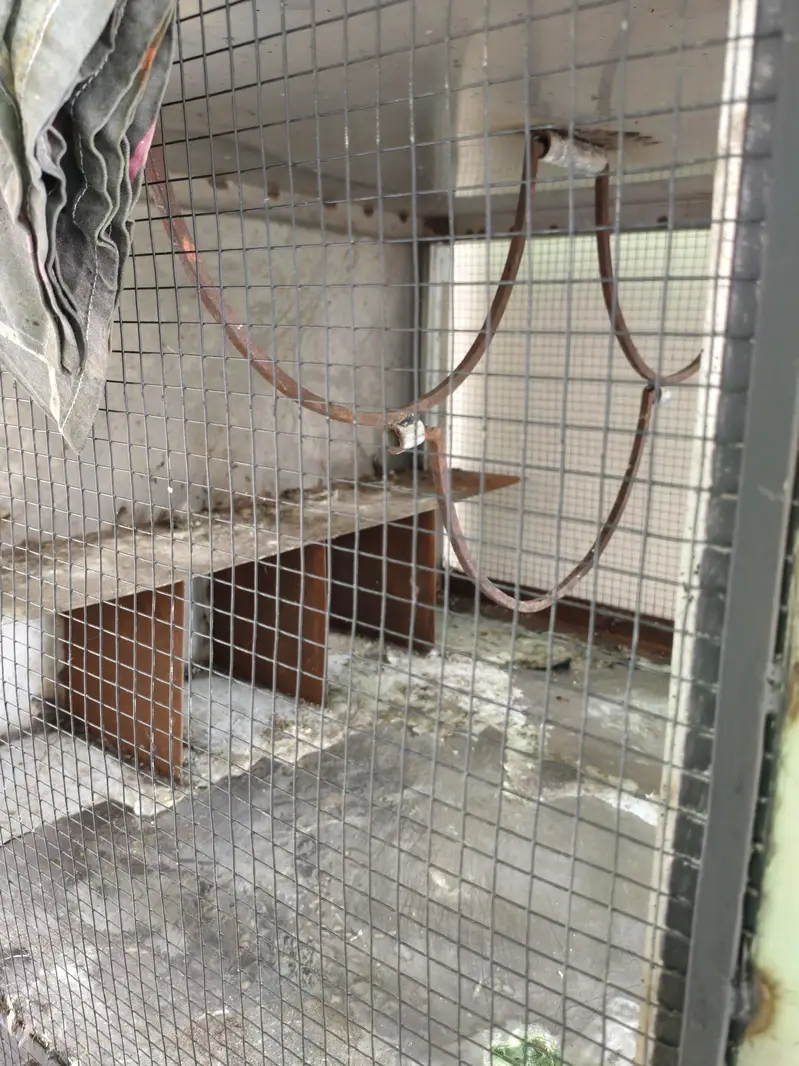 Large Multi-Level Bird Cage / Aviary on Wheels – Heavy Duty Metal — photo 3