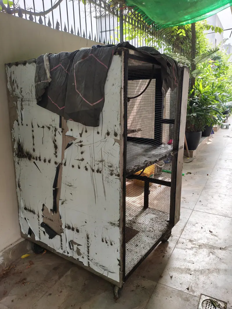 Large Multi-Level Bird Cage / Aviary on Wheels – Heavy Duty Metal — photo 5