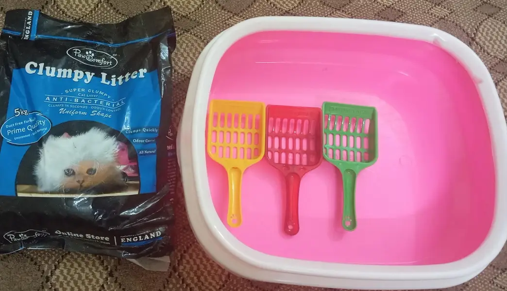 Cat litter Box, Free scoops, clumpy litter(5kg) Clum Litter (5kg Pack) — photo 3