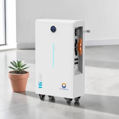[16kwh] LVTOPSUN 51.2v314ah Ip65 Lithium Battery