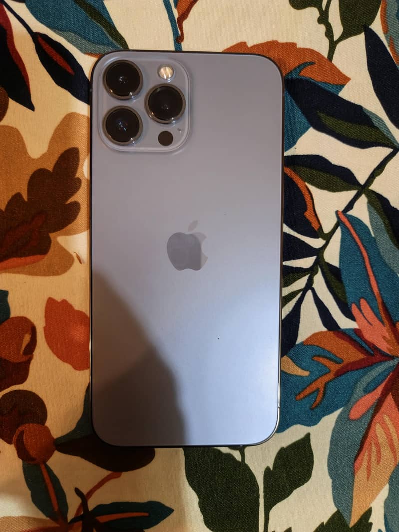 Apple iPhone 13 Pro Max 1