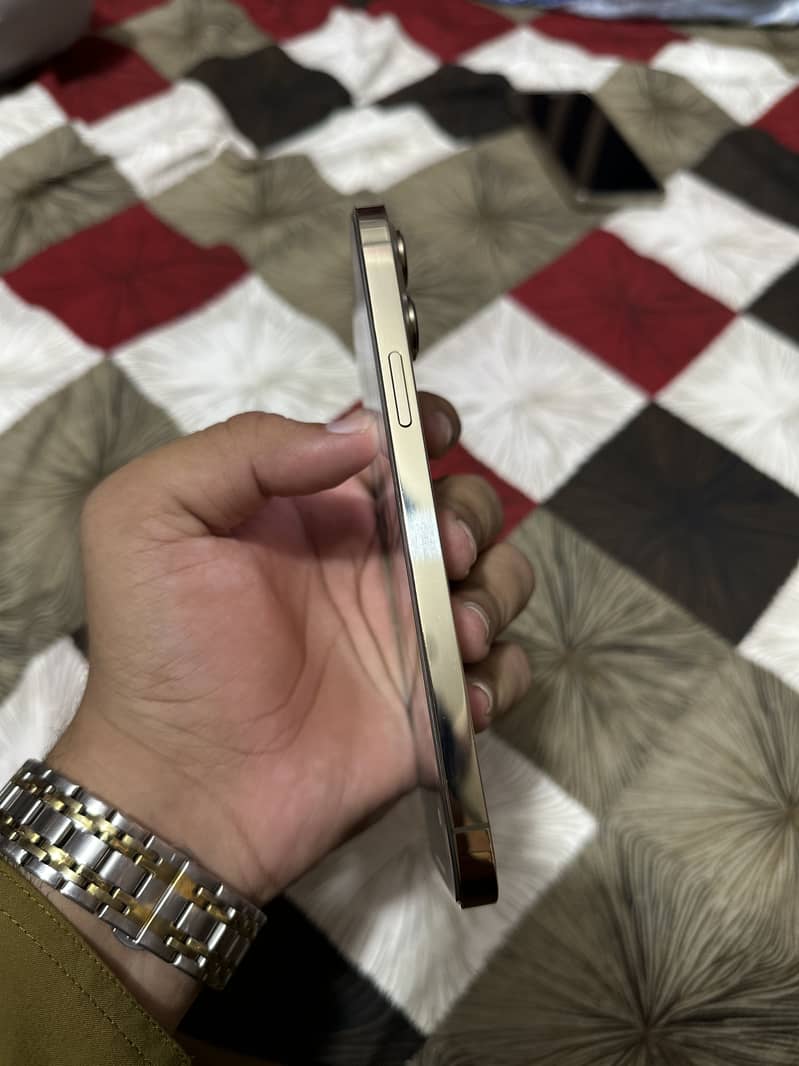 Apple iPhone 13 Pro Max 1