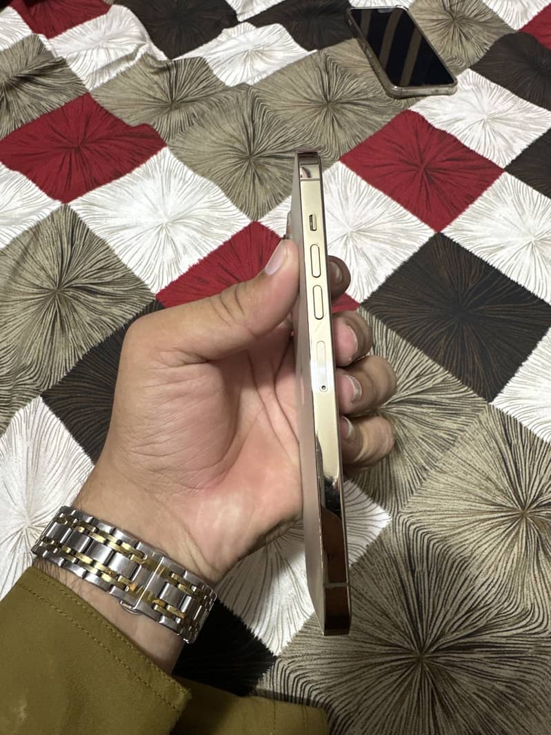 Apple iPhone 13 Pro Max 2
