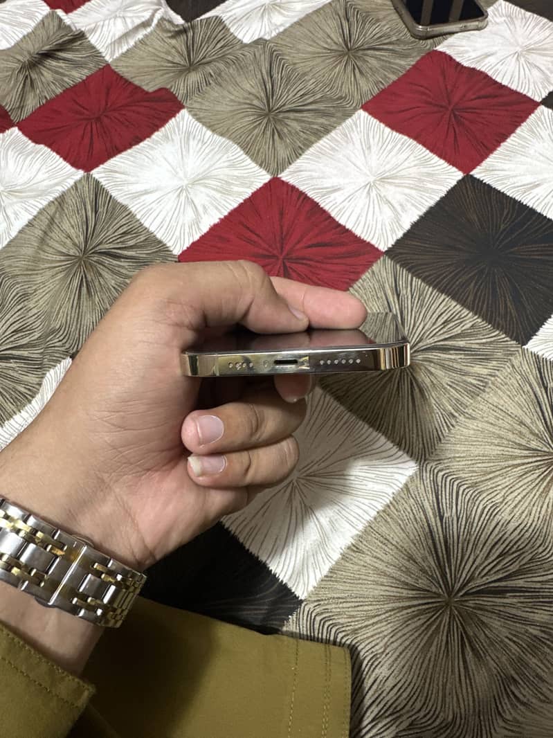 Apple iPhone 13 Pro Max 4