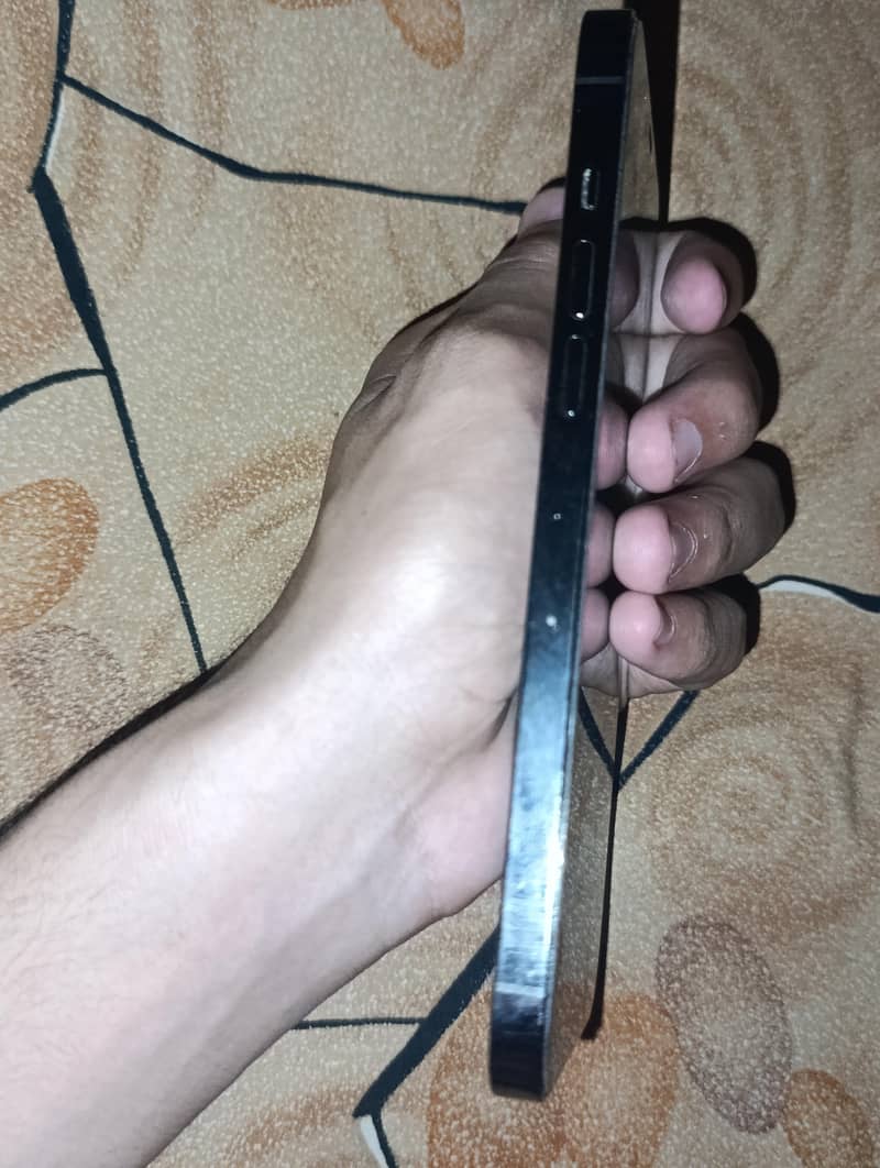 Apple iPhone 12 Pro Max 1