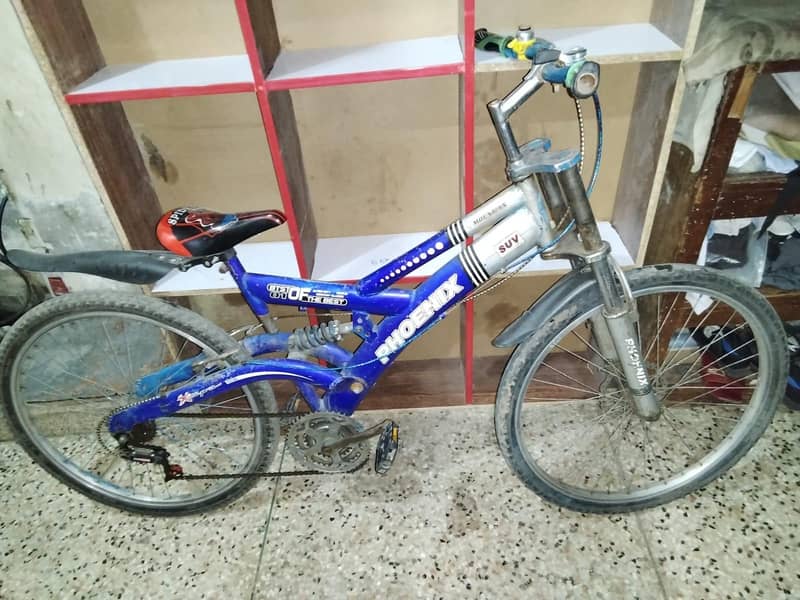 Phoenix Cycle 0