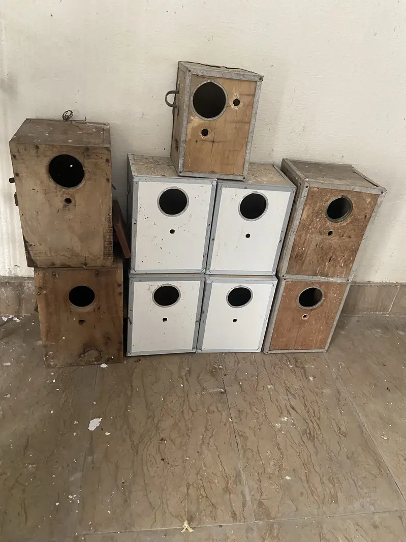 Java finches and dove cage cuttlefish bone aur box — photo 3