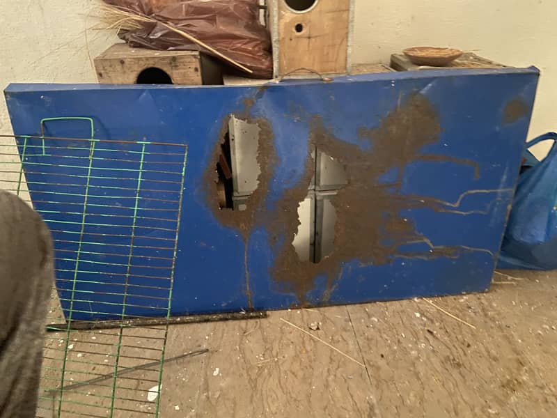 cage cuttlefish bone aur box 8